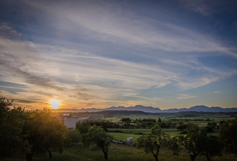 هتل Casa Font I Roig