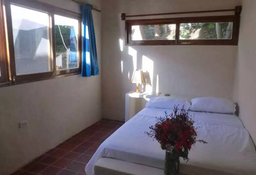 ホテル Charlie Suites Ayampe