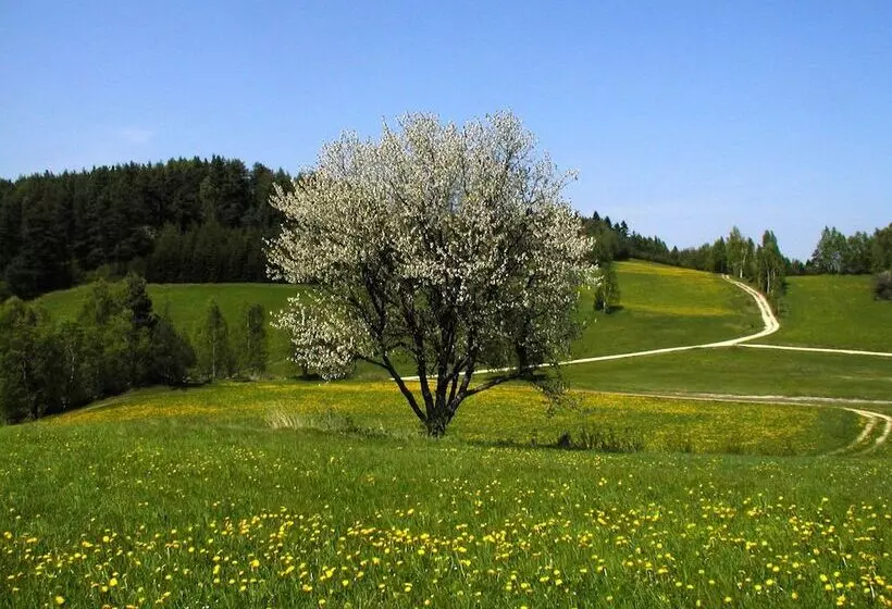Hotelli Gasthof Einfalt