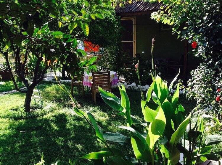 酒店 Gelincik Pansiyon