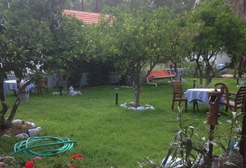 酒店 Gelincik Pansiyon