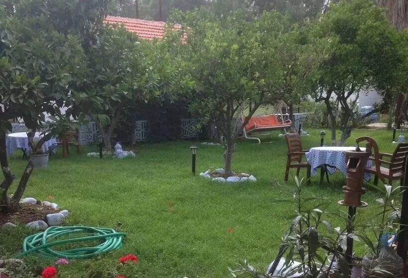 هتل Gelincik Pansiyon