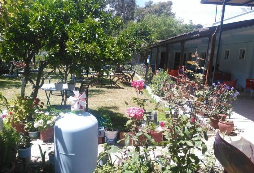 酒店 Gelincik Pansiyon