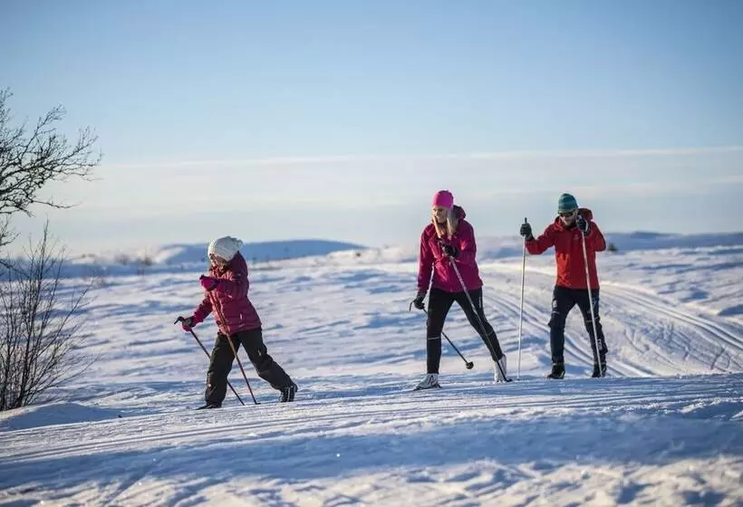 ホテル Gomobu Fjellstue