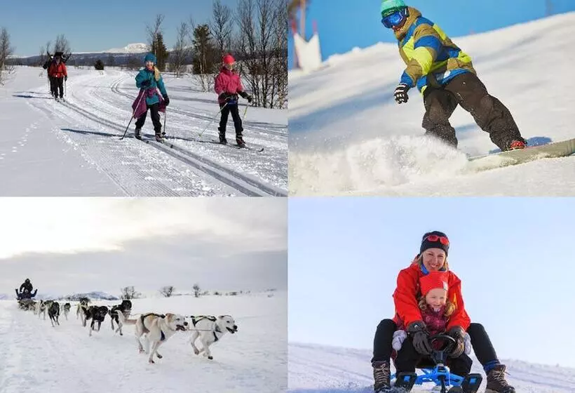 ホテル Gomobu Fjellstue