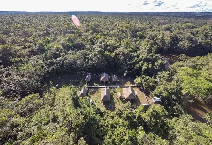 ホテル Green Forest Ecolodge