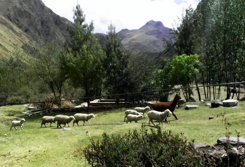 Hotelli Hospedaje Illariy