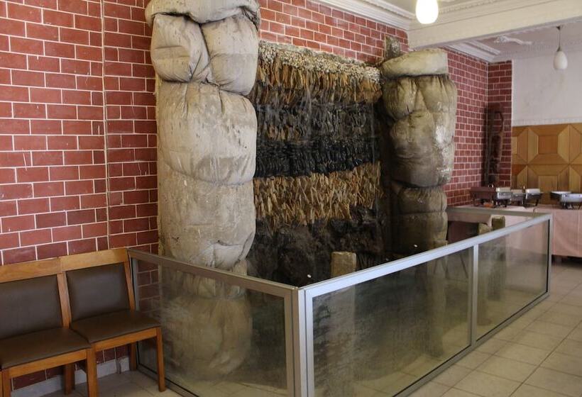 هتل Hôtel Belavie