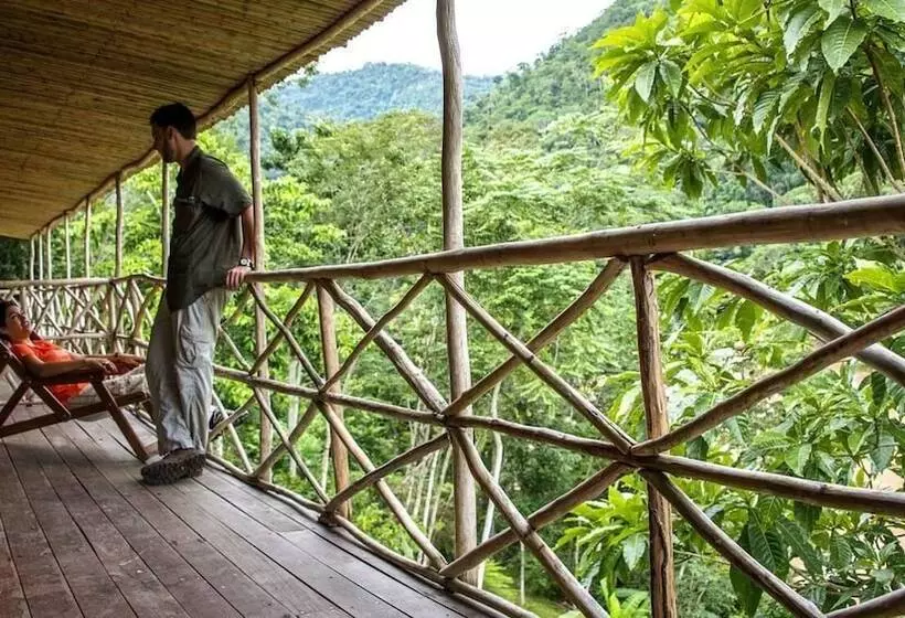ホテル Pumarinri Amazon Lodge