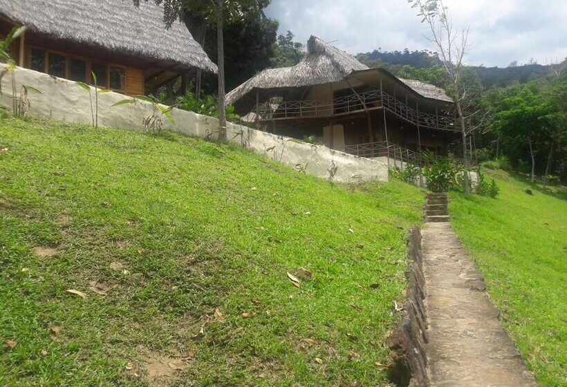 ホテル Pumarinri Amazon Lodge