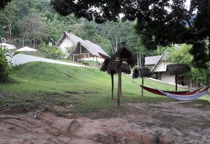 ホテル Pumarinri Amazon Lodge