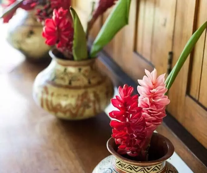 ホテル Pumarinri Amazon Lodge