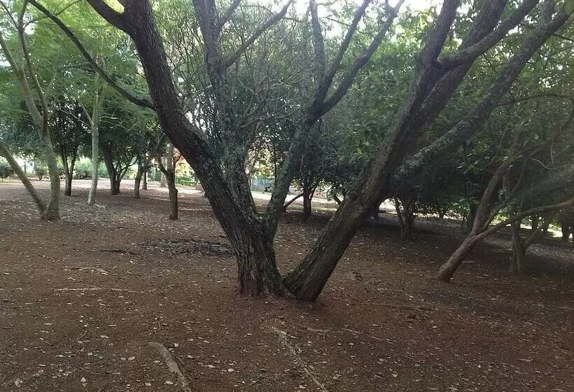 田舎風ホテル Fazenda Dons De Minas