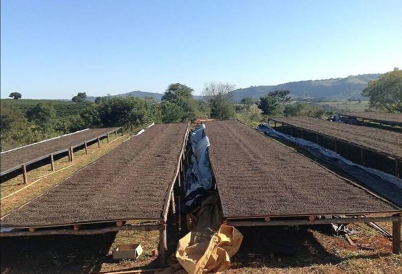 Hotel Rural Fazenda Dons De Minas