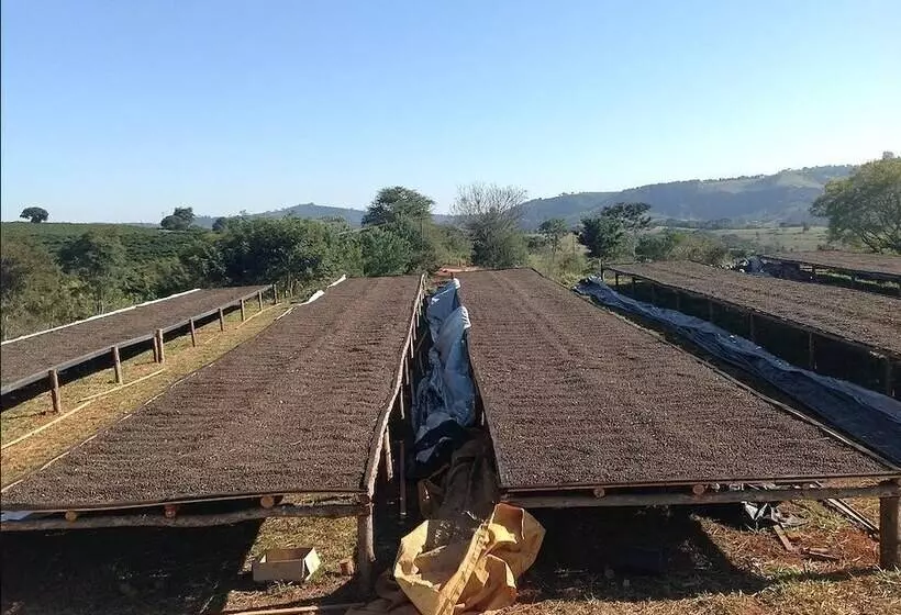田舎風ホテル Fazenda Dons De Minas