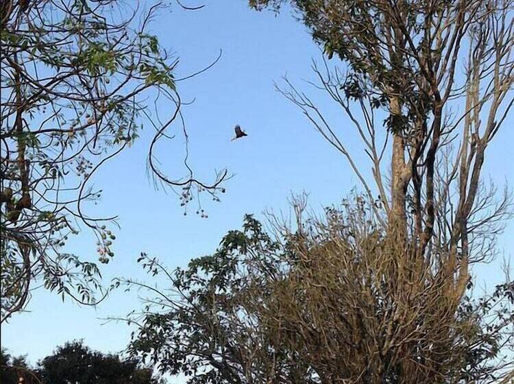 Hotel Rural Fazenda Dons De Minas