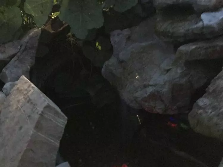 Tenderfoot Cabins & Motel