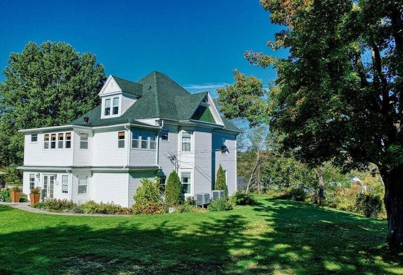 Bed and Breakfast Shamrock Suites