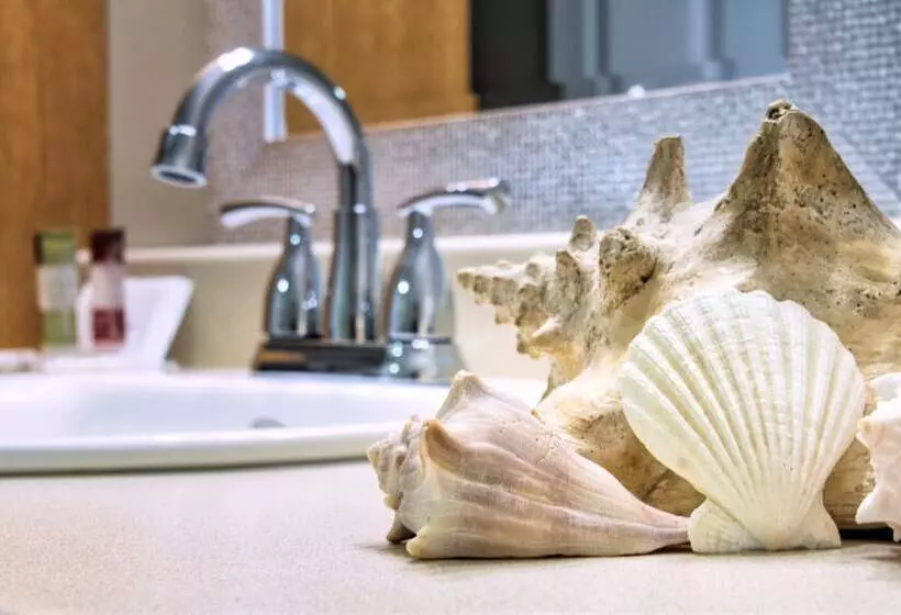 Aamiaismajoitus (B&B) Shamrock Suites