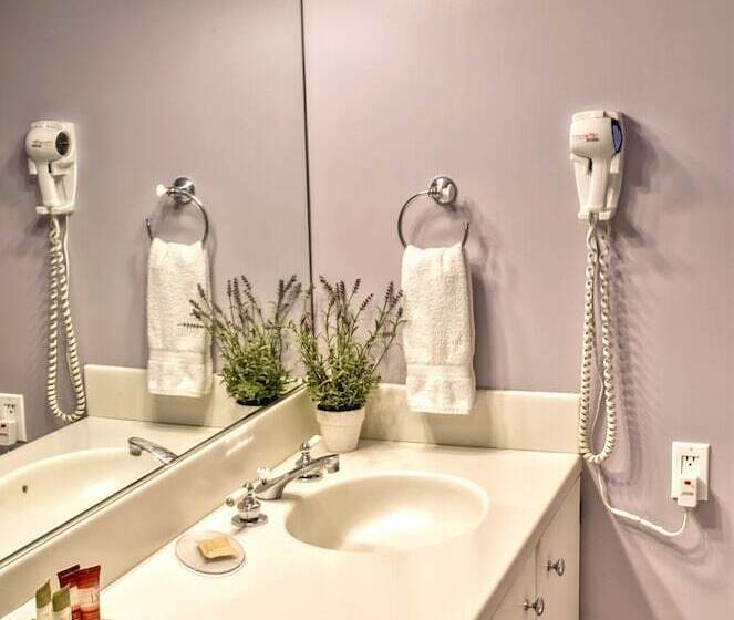 Bed and Breakfast Shamrock Suites