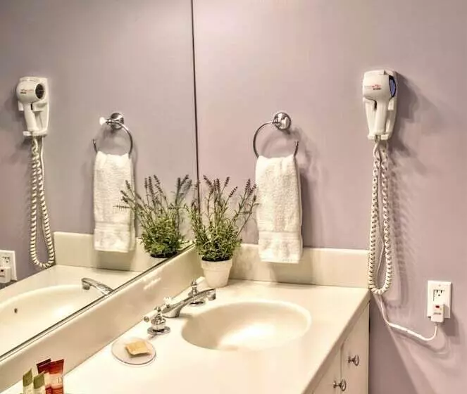 Aamiaismajoitus (B&B) Shamrock Suites