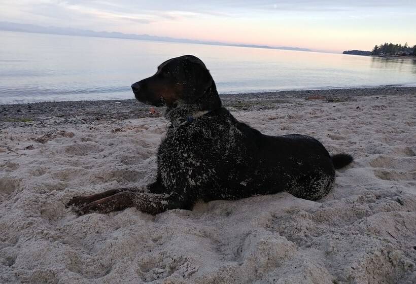 Bed & Breakfast Two Eagles Lodge