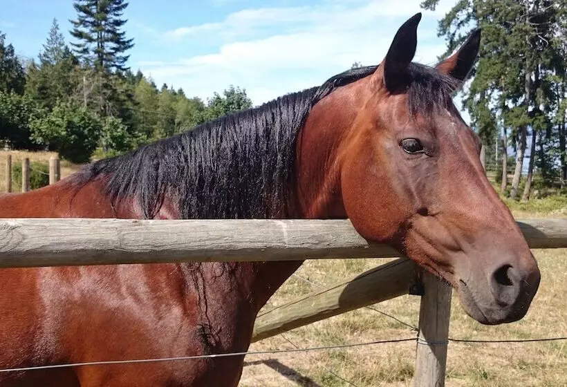 Aamiaismajoitus (B&B) Two Eagles Lodge