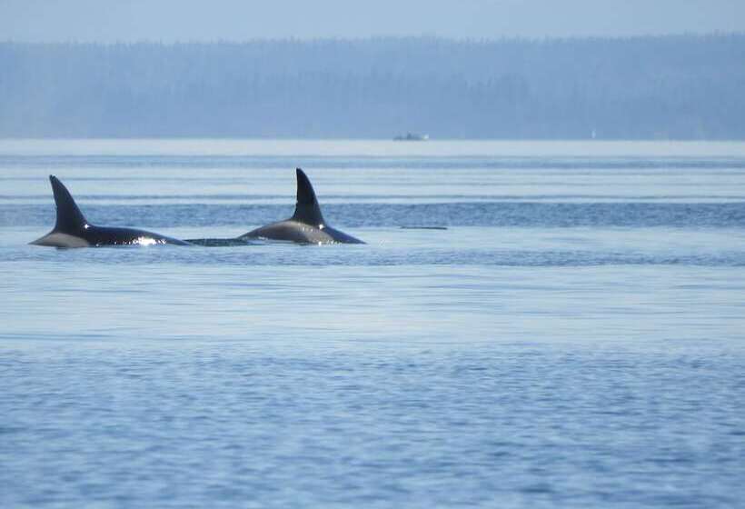 Bed & Breakfast Two Eagles Lodge