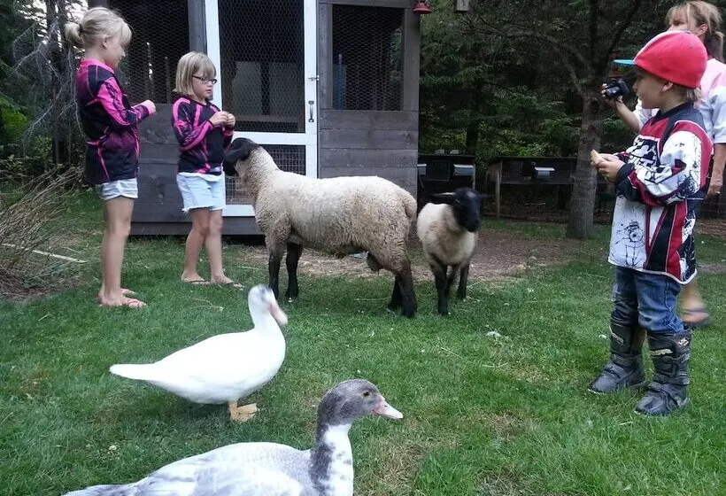 Bed & Breakfast Du Repos