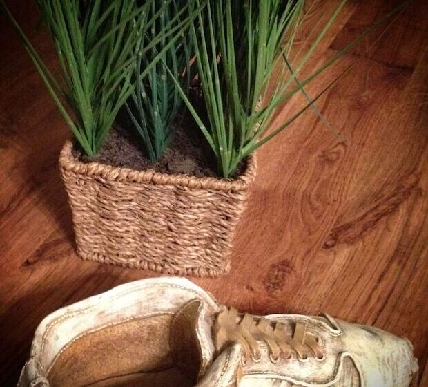 Bed & Breakfast Du Repos