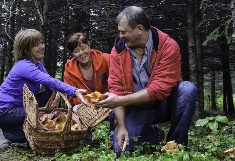 Bed & Breakfast Du Repos