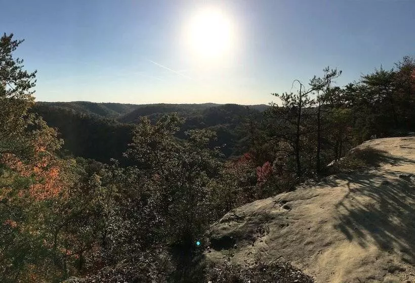 Black Bear Lodge Motel
