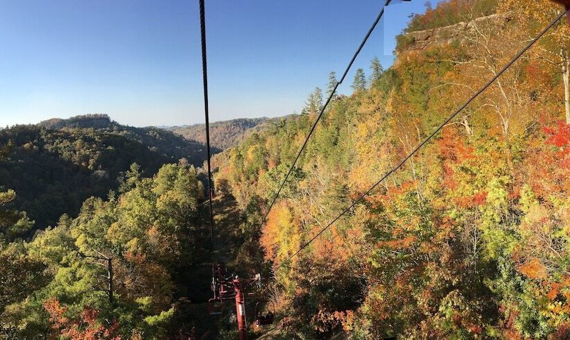 Black Bear Lodge Motel
