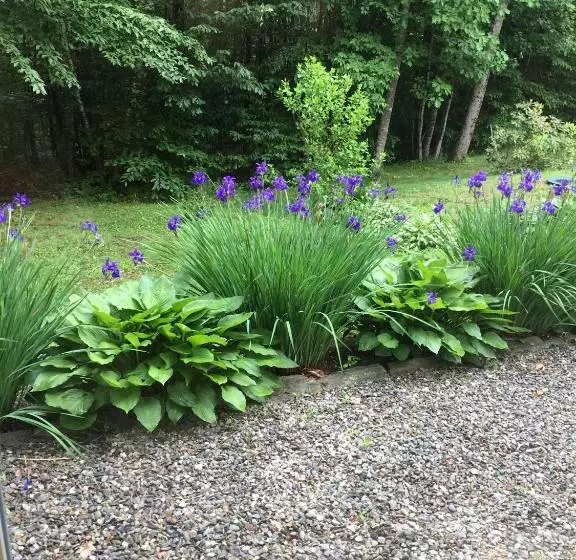 Blueberry Fields B&b