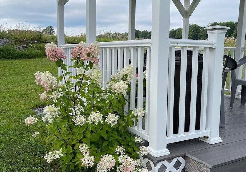 Blueberry Fields B&b