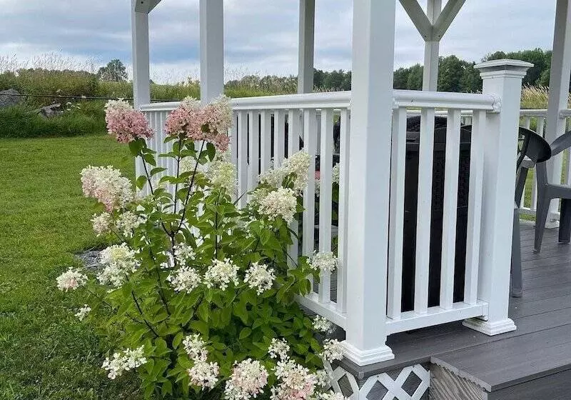 Blueberry Fields B&b