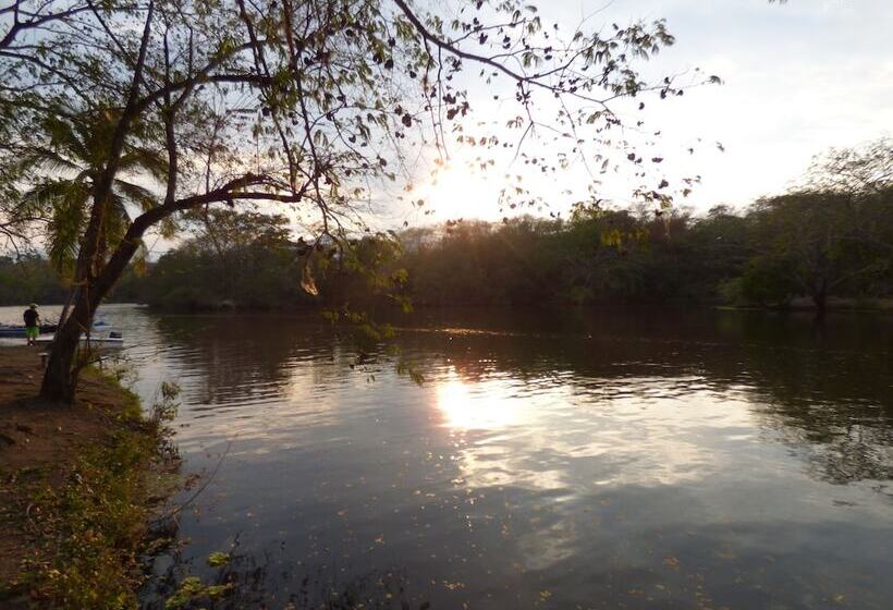 酒店 Hostería Florida Tropical