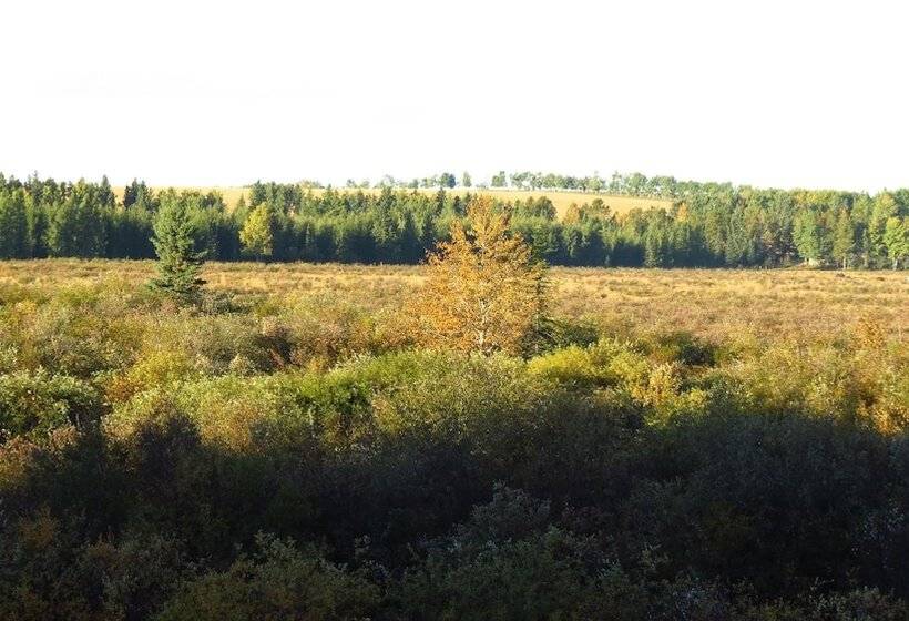 בית מלון כפרי Lazy M Lodge