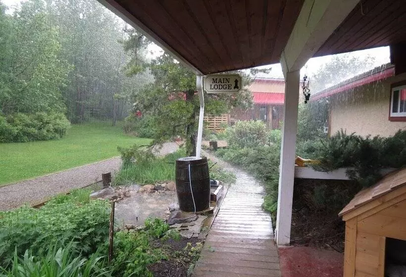 Hotelli Lazy M Lodge