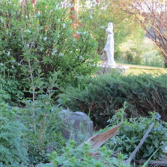 בית מלון כפרי Lazy M Lodge