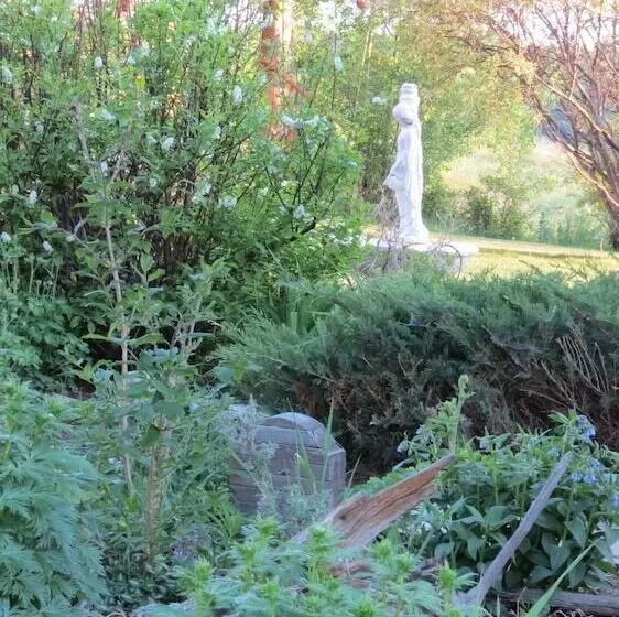 Hotelli Lazy M Lodge