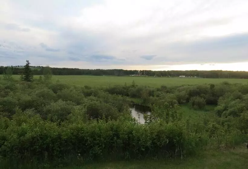 Hotelli Lazy M Lodge