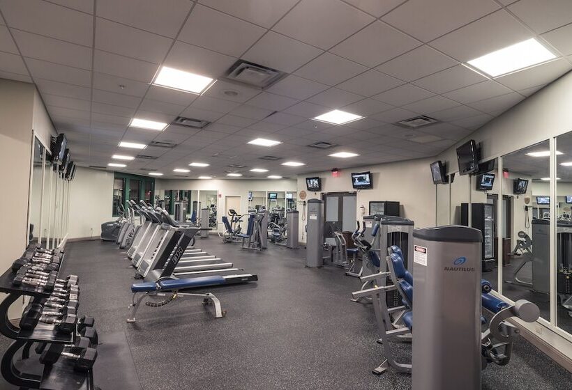 酒店 Paragon Casino Resort