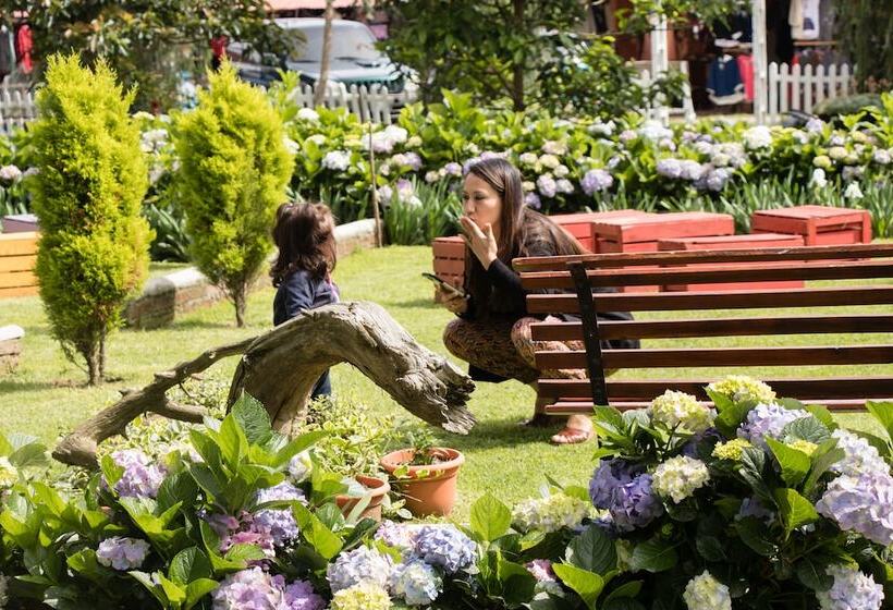 هتل San Ricardo Farm And Lodge