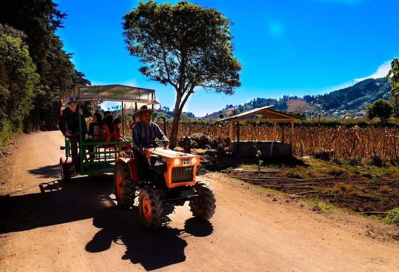 هتل San Ricardo Farm And Lodge