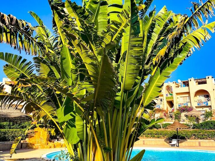 هتل Sunny Lakes Resort Apartments   Adults Only