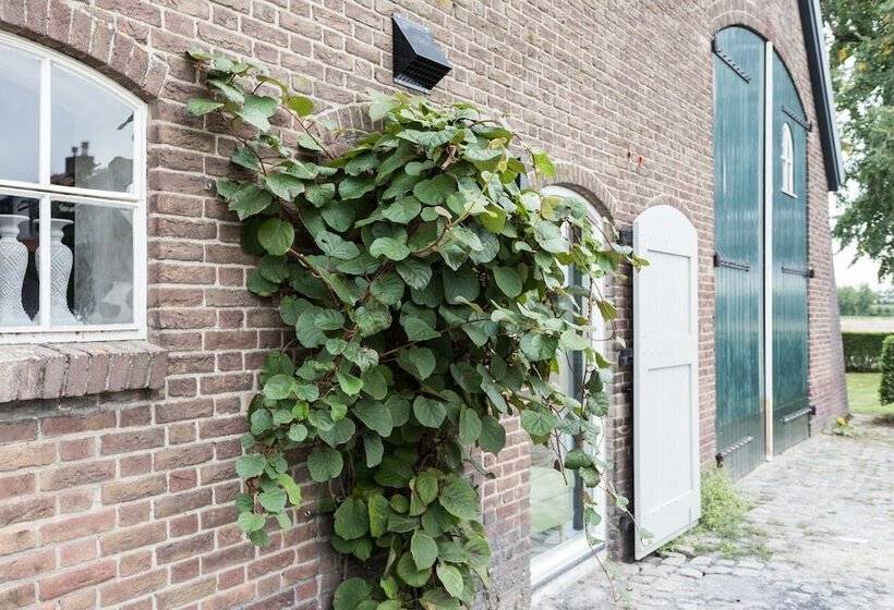 Hotel T Hof Olmenstein