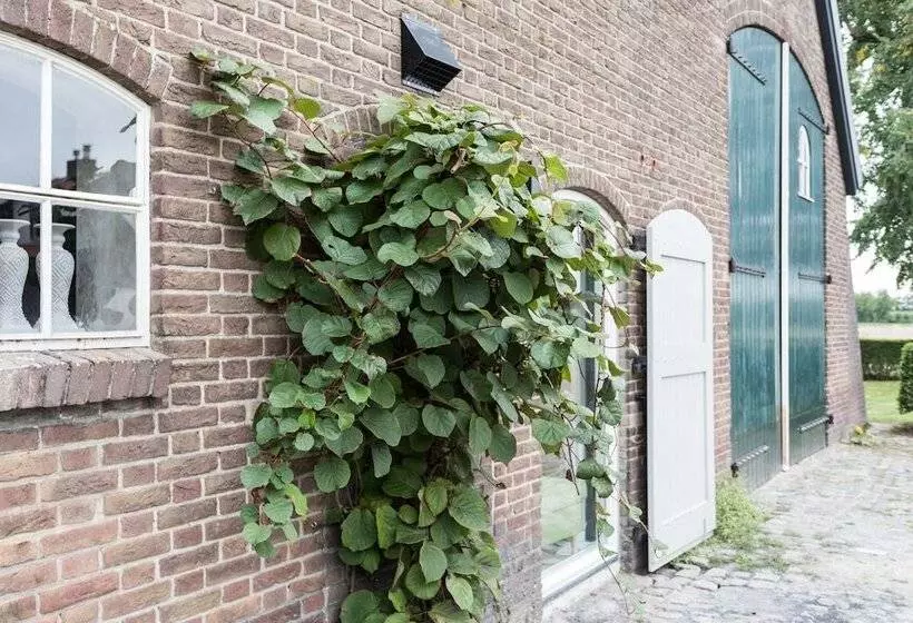 Hotelli T Hof Olmenstein