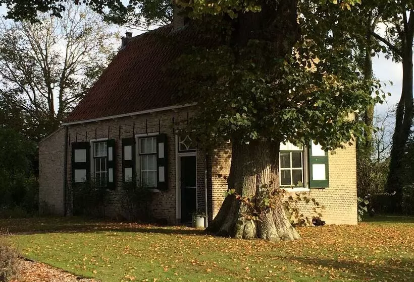 Hotelli T Hof Olmenstein