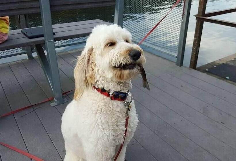 فندق Taneycomo Lakefront Resort